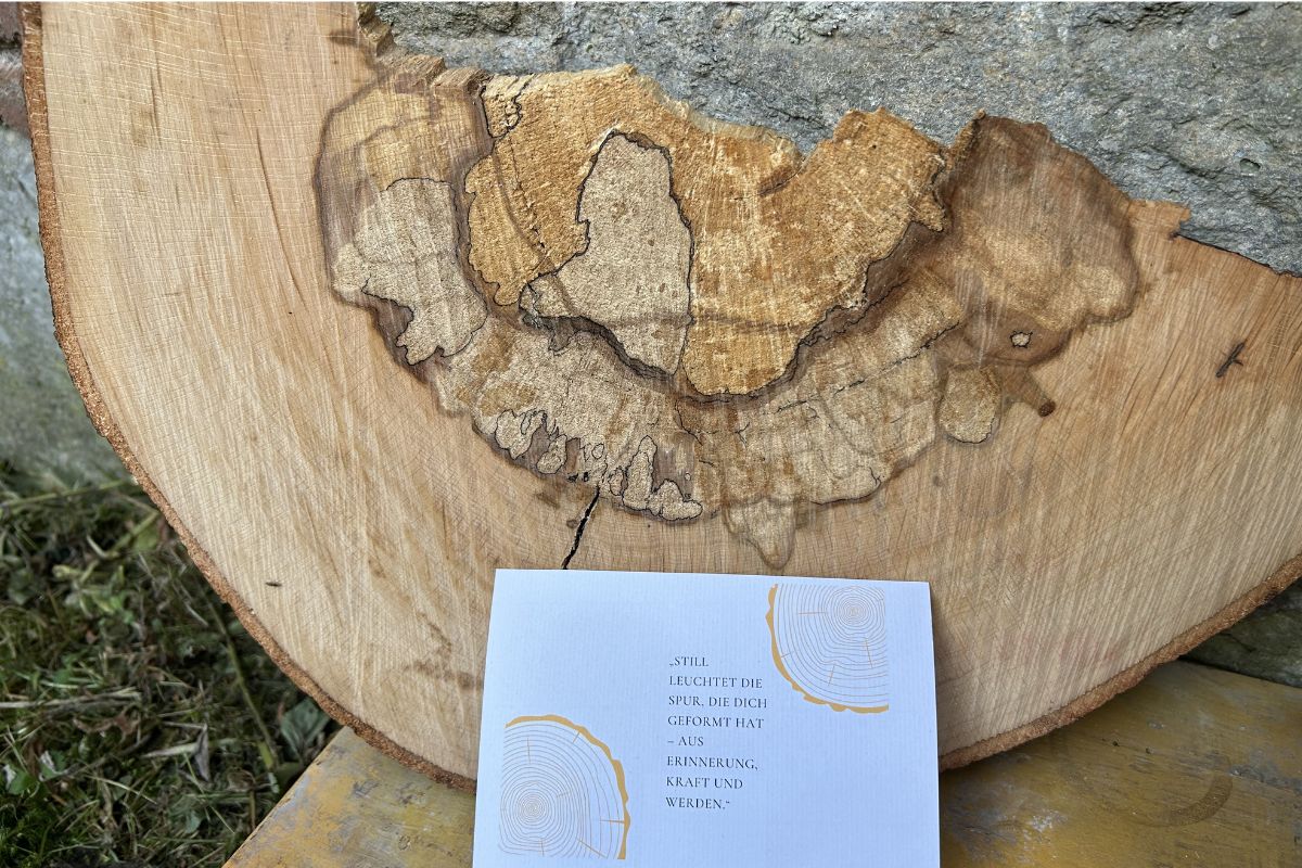 Baumscheibe mit Jahresringen als Symbol für Entwicklung und Lebenswege von Kindern