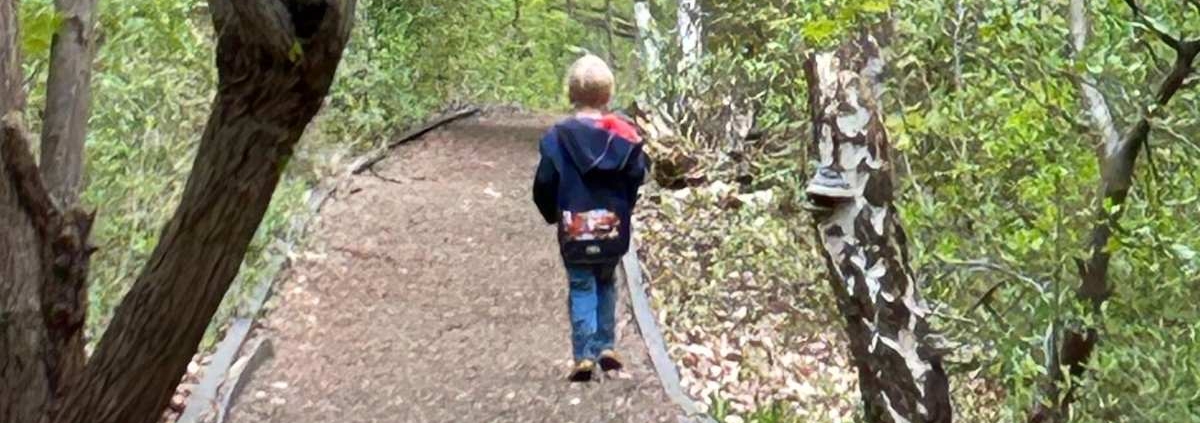 Übergänge in der Kita bewusst gestalten – Veränderungen und Neubeginn begleiten