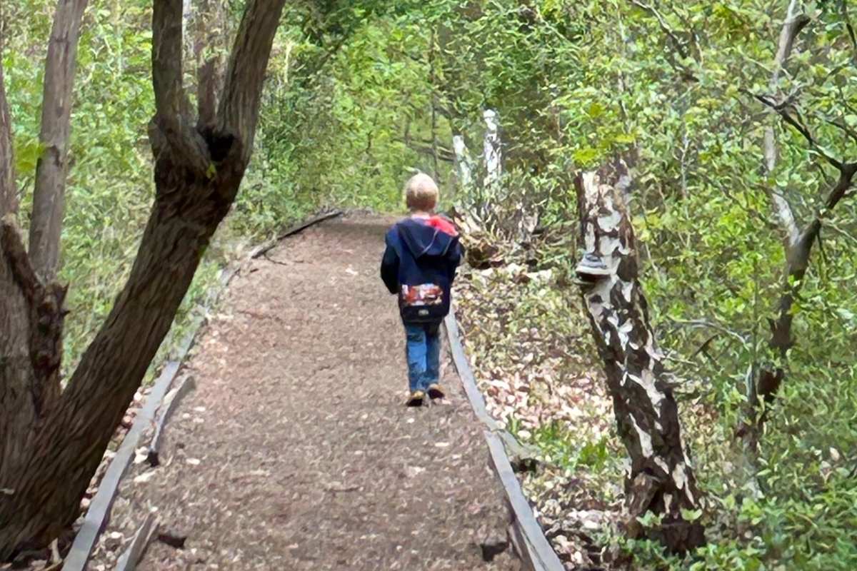 Übergänge in der Kita bewusst gestalten – Veränderungen und Neubeginn begleiten