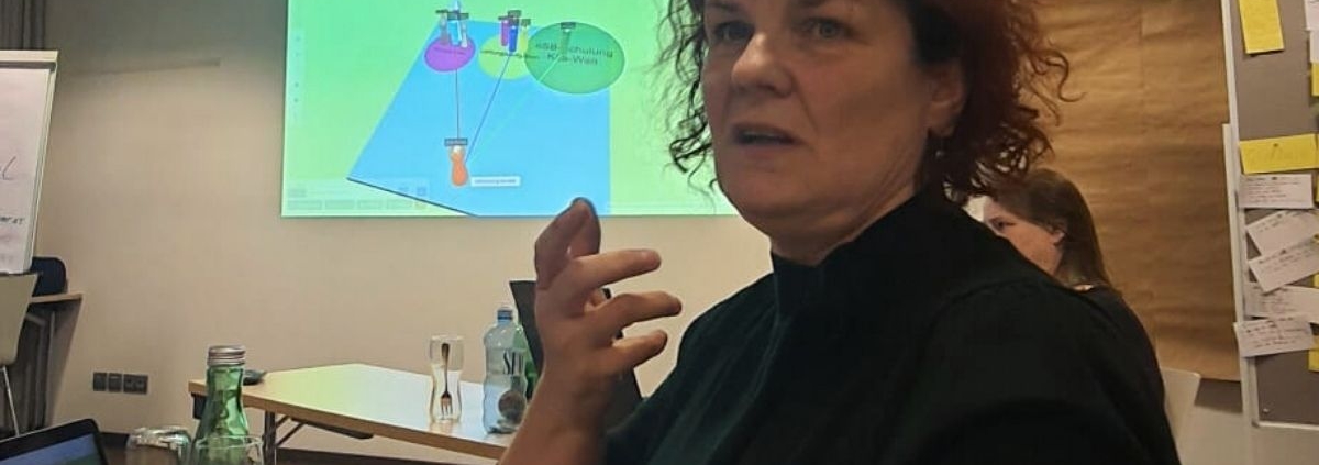 Systemische Arbeit mit dem VISTEMA®- Board in der Begleitung von Führungskräften