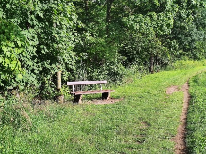 Leere Bank an einem Weg im Grünen