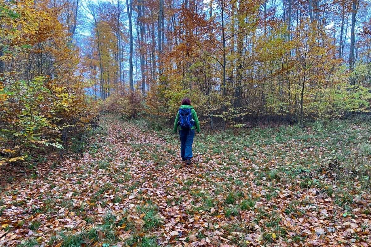 Den eigenen Weg gehen: Selbstbestimmung und Entwicklung Eva-Maria Wiesemann geht mit einem Rucksack auf einem von Herbstlaub bedeckten Weg durch einen Wald.